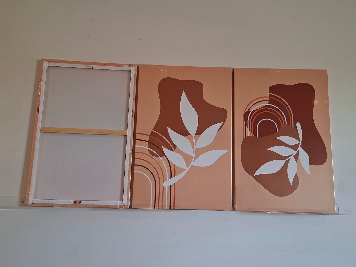 Abstract Botanical Canvas Wall Art Set