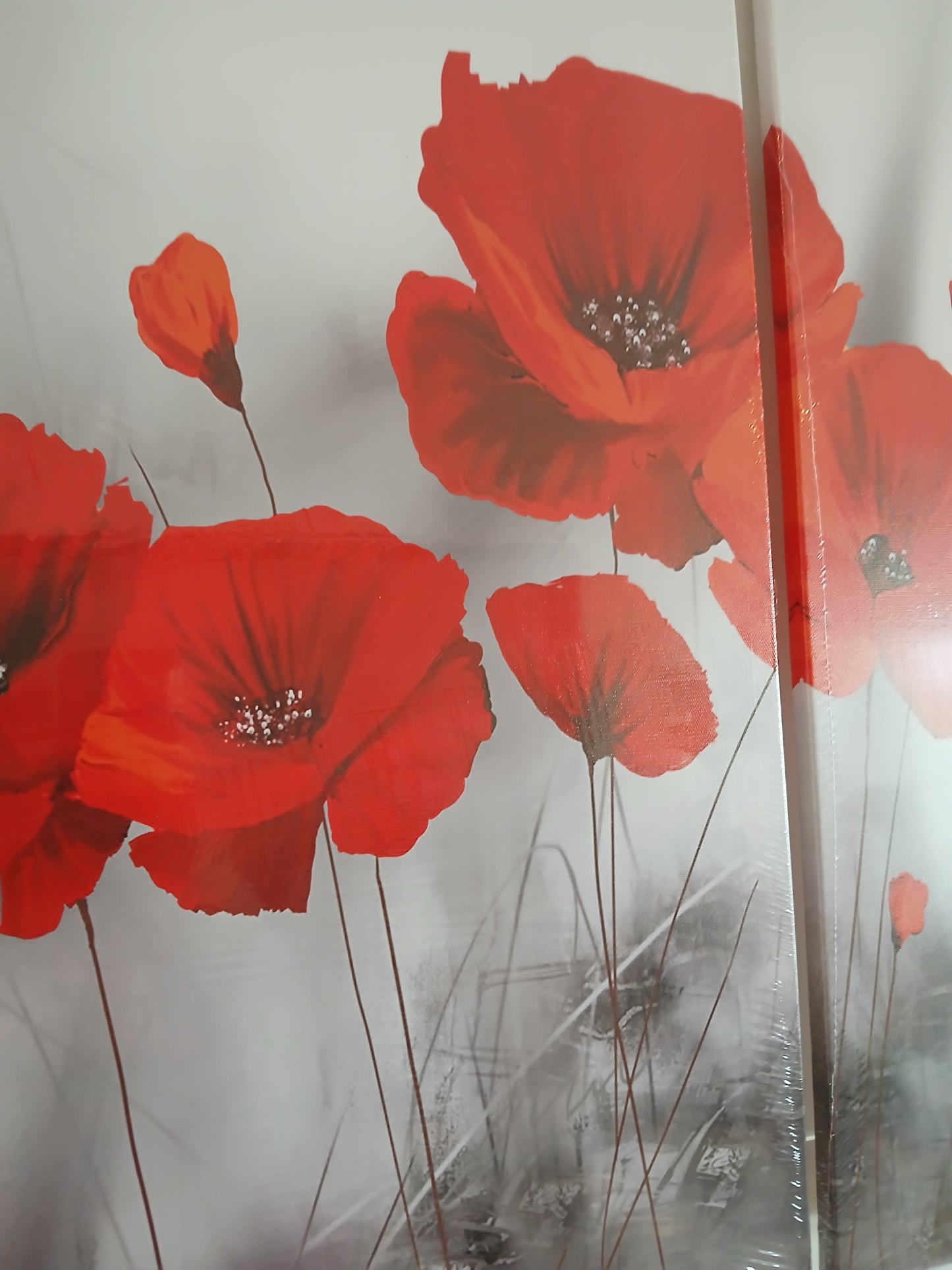 Red Poppy Flower Fantasy Canvas Print Wall Art