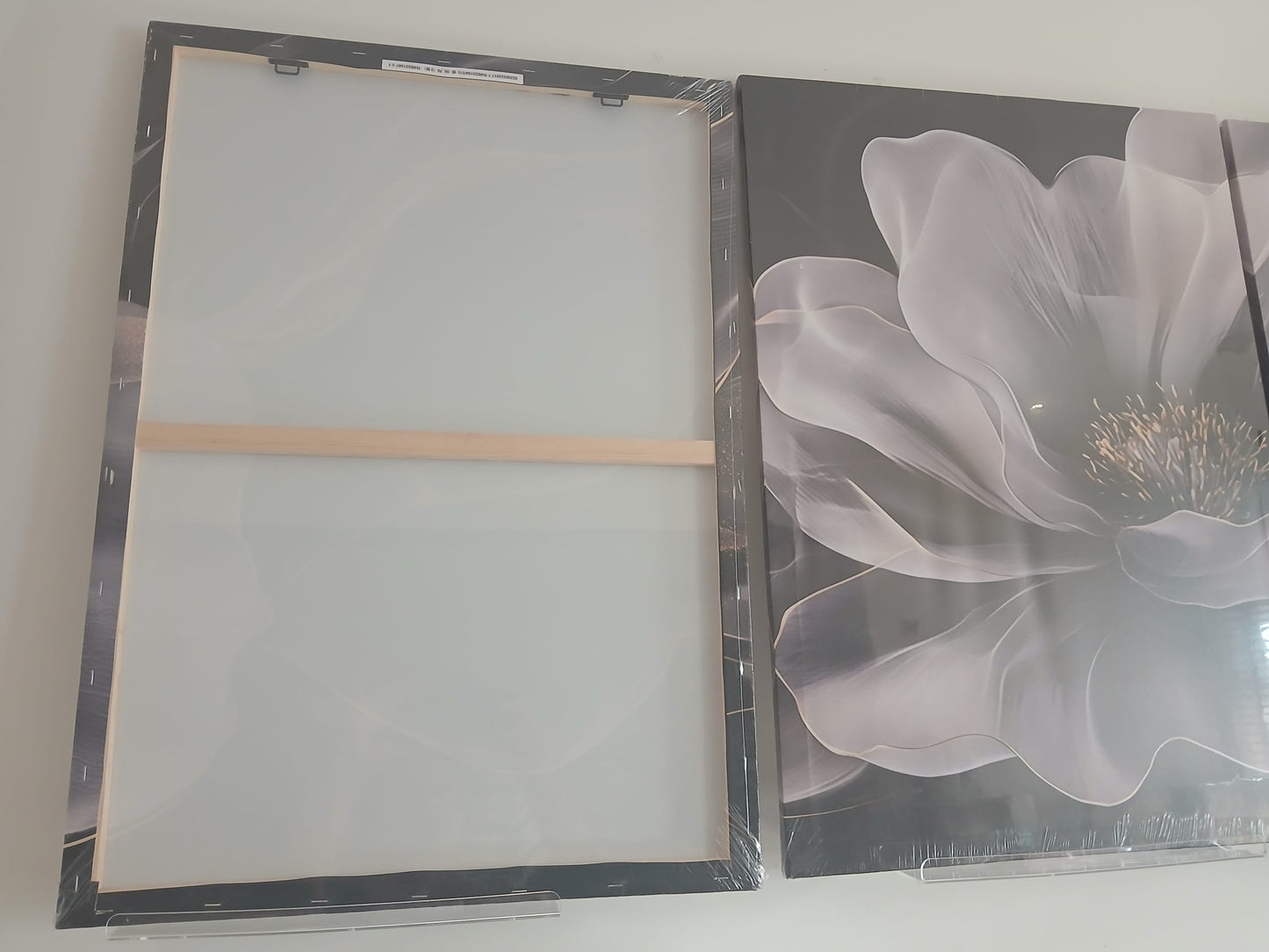 Modern Abstract Gray & White Floral Wall Art Set