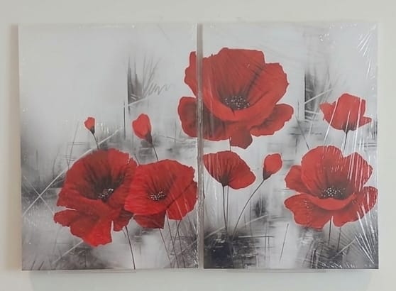 Beautiful Red Poppy Flower Canvas Print Wall Art