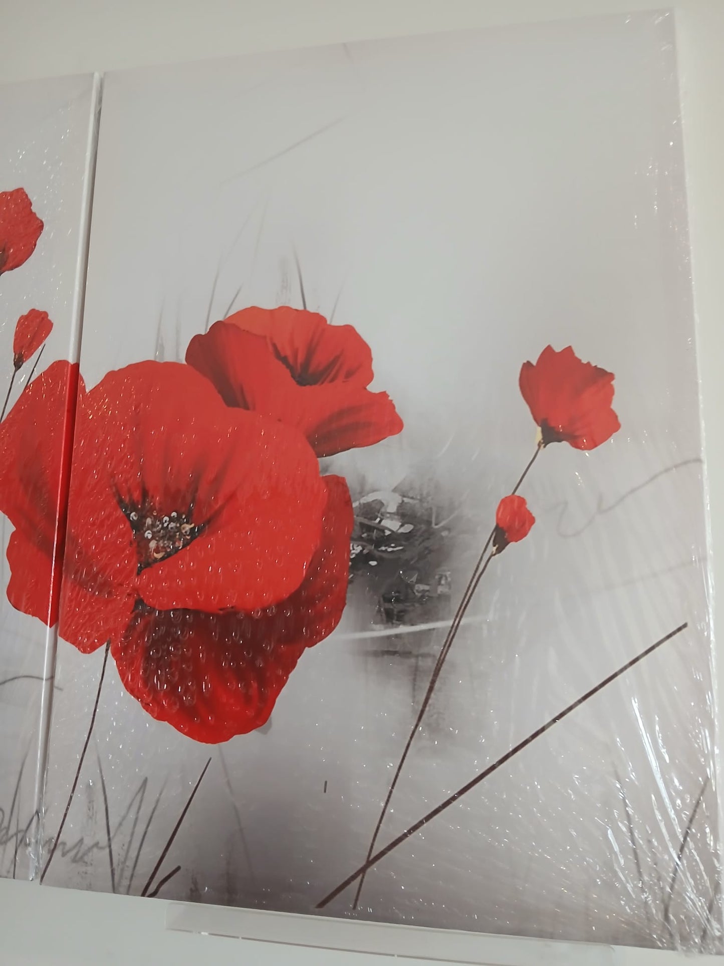 Beautiful Red Poppy Flower Canvas Print Wall Art