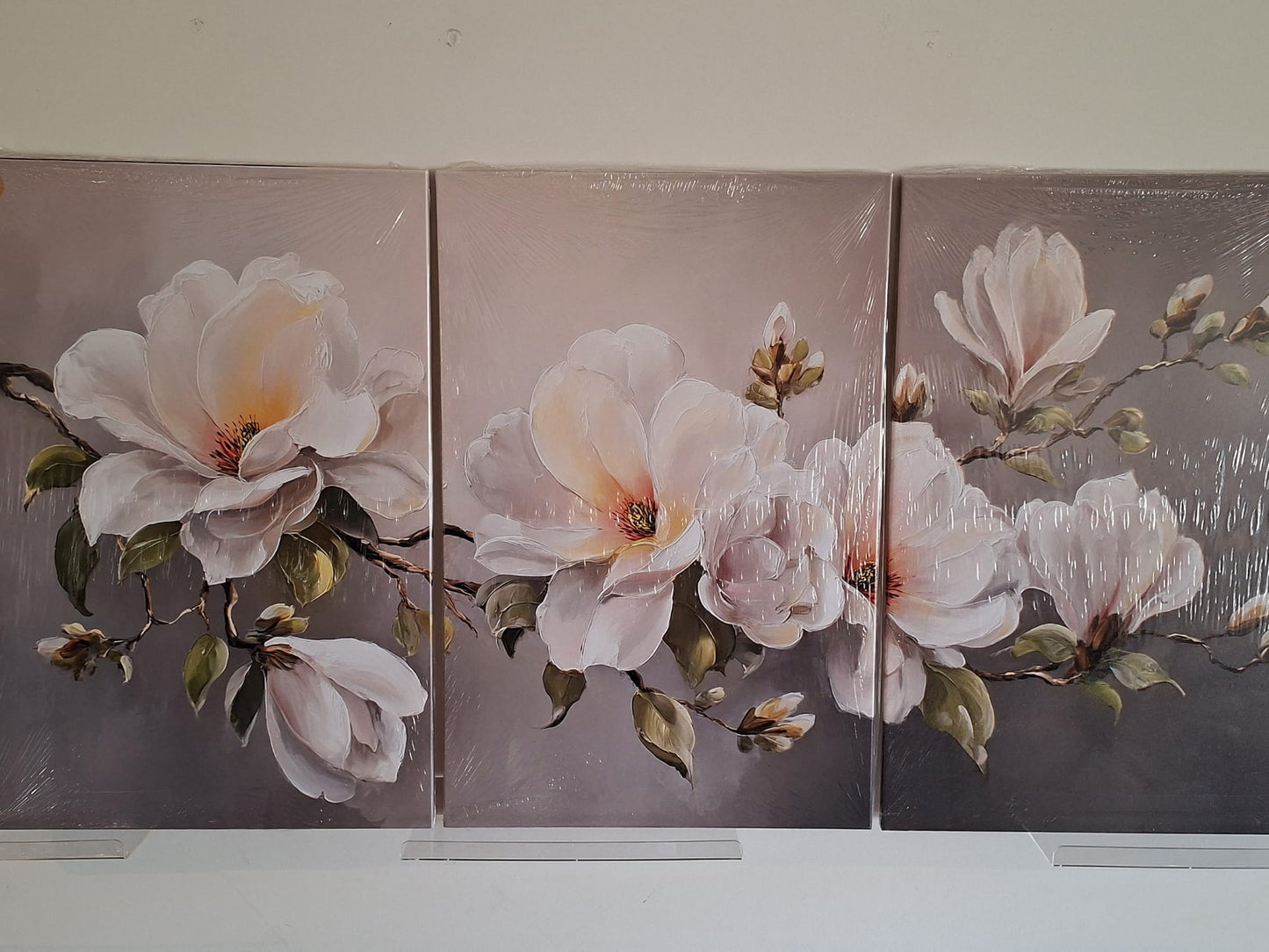 Soft Magnolia Floral Wall Art Set