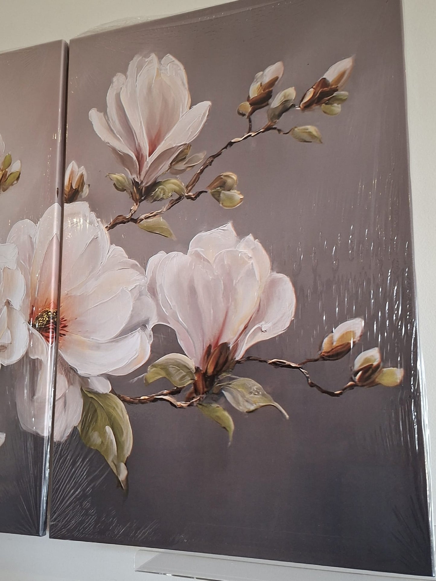 Soft Magnolia Floral Wall Art Set