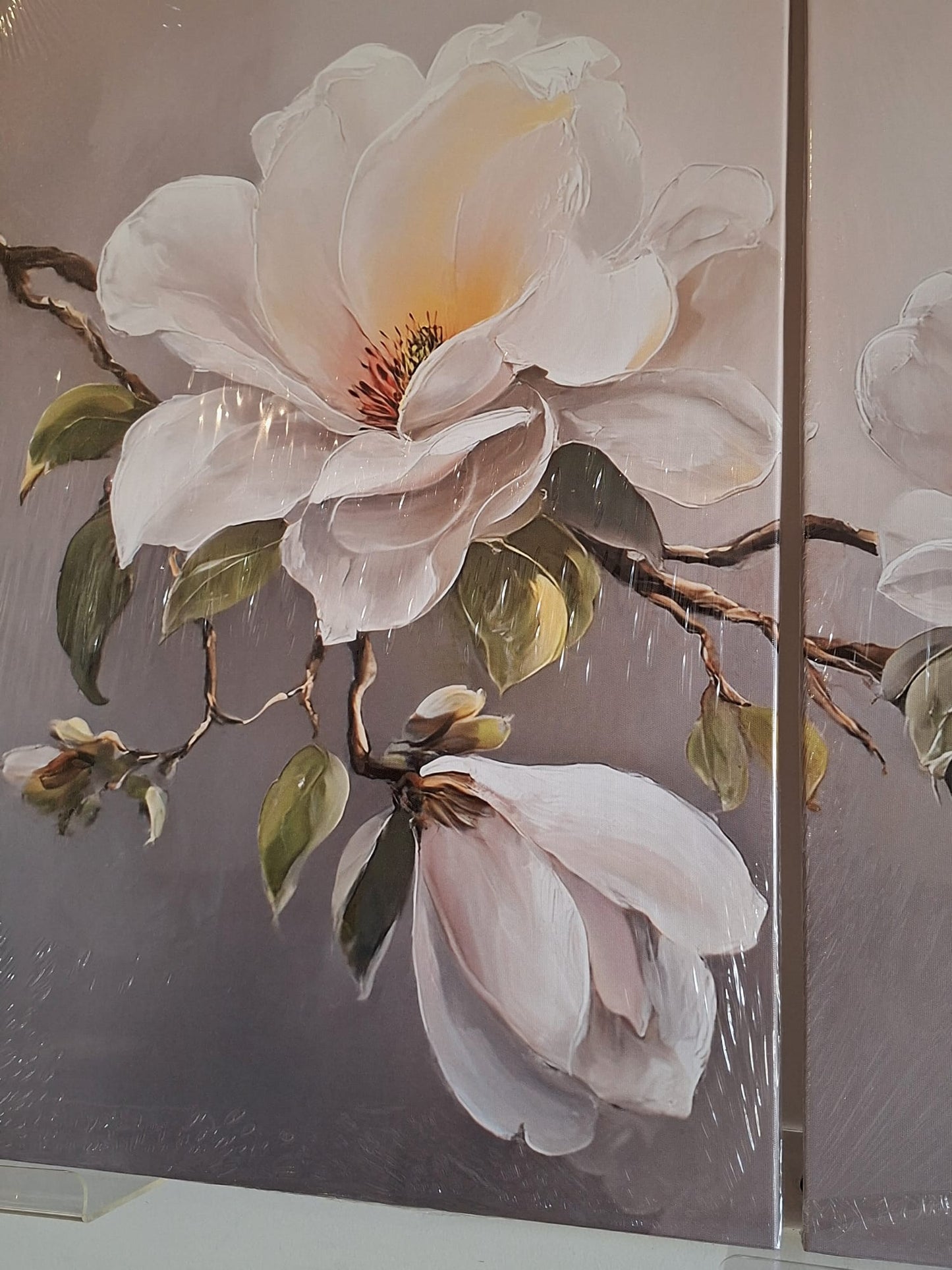 Soft Magnolia Floral Wall Art Set