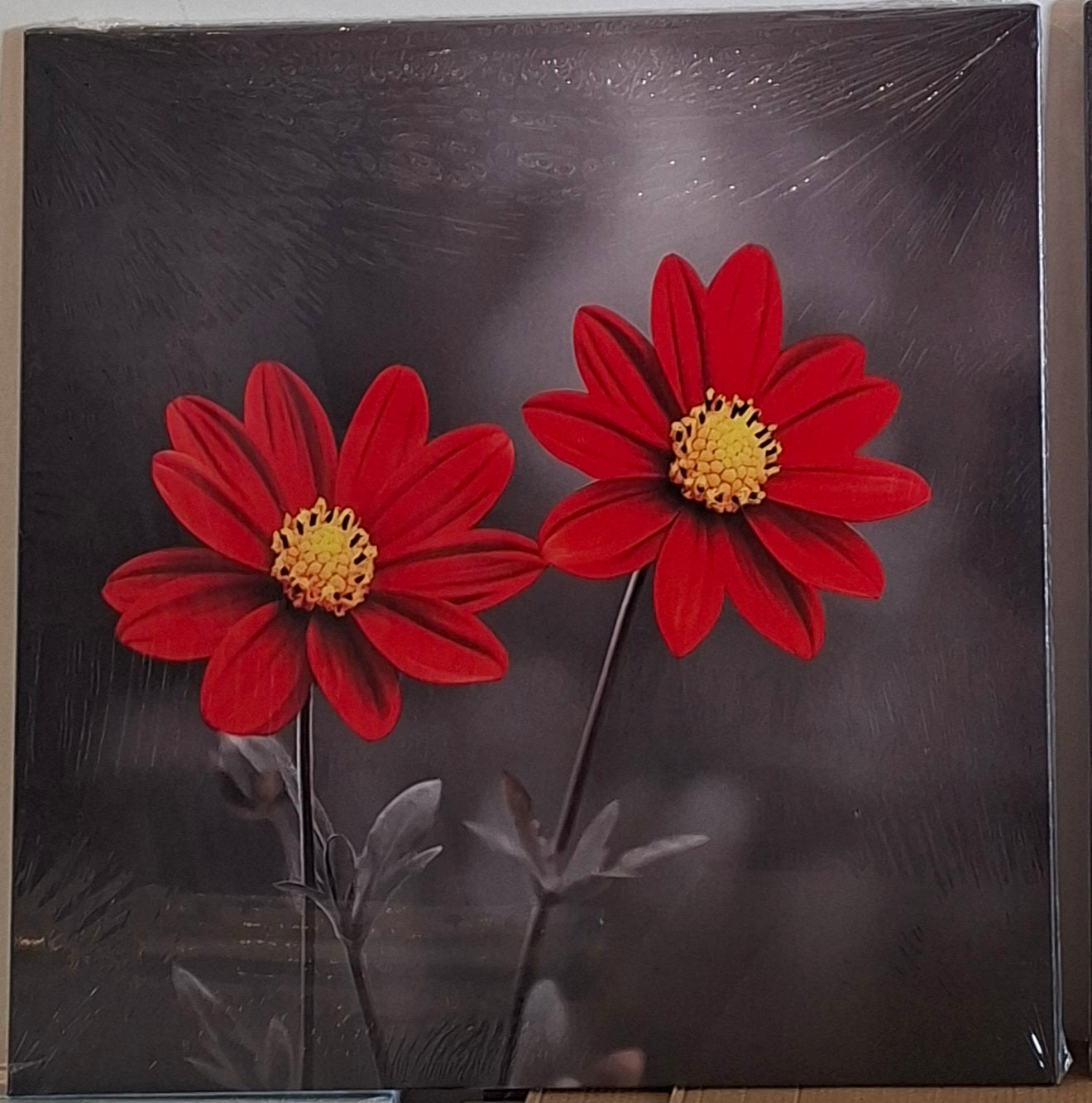 Vibrant Red Bloom Canvas Wall Art Set