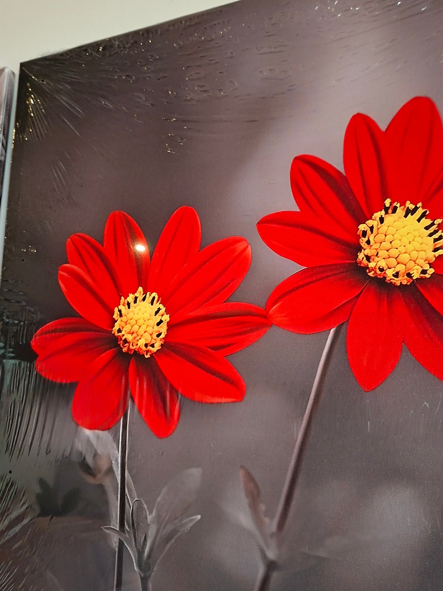Vibrant Red Bloom Canvas Wall Art Set