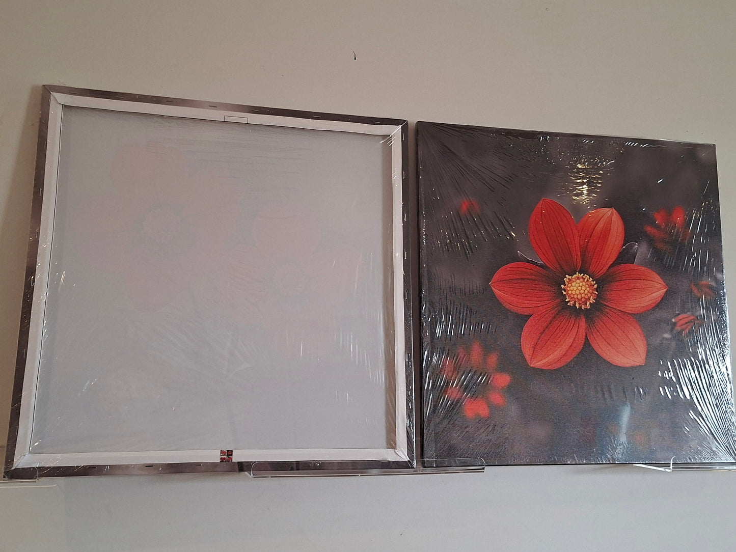 Vibrant Red Bloom Canvas Wall Art Set