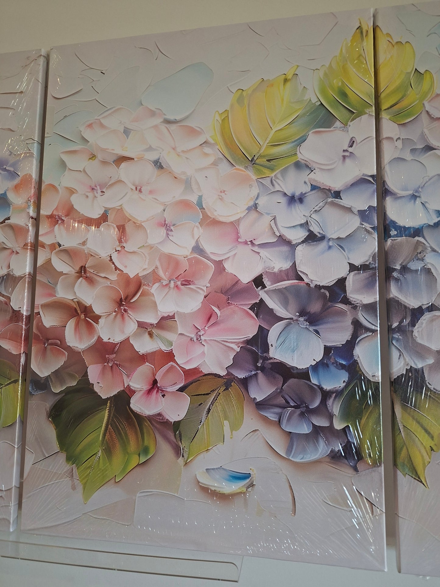 Colourful Hydrangea Floral Wall Art Set