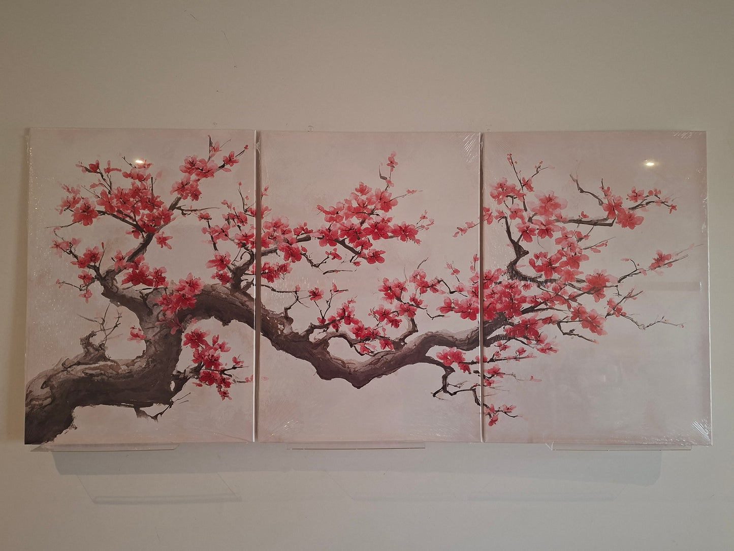 Pink Blossom Branch Canvas Wall Art Set