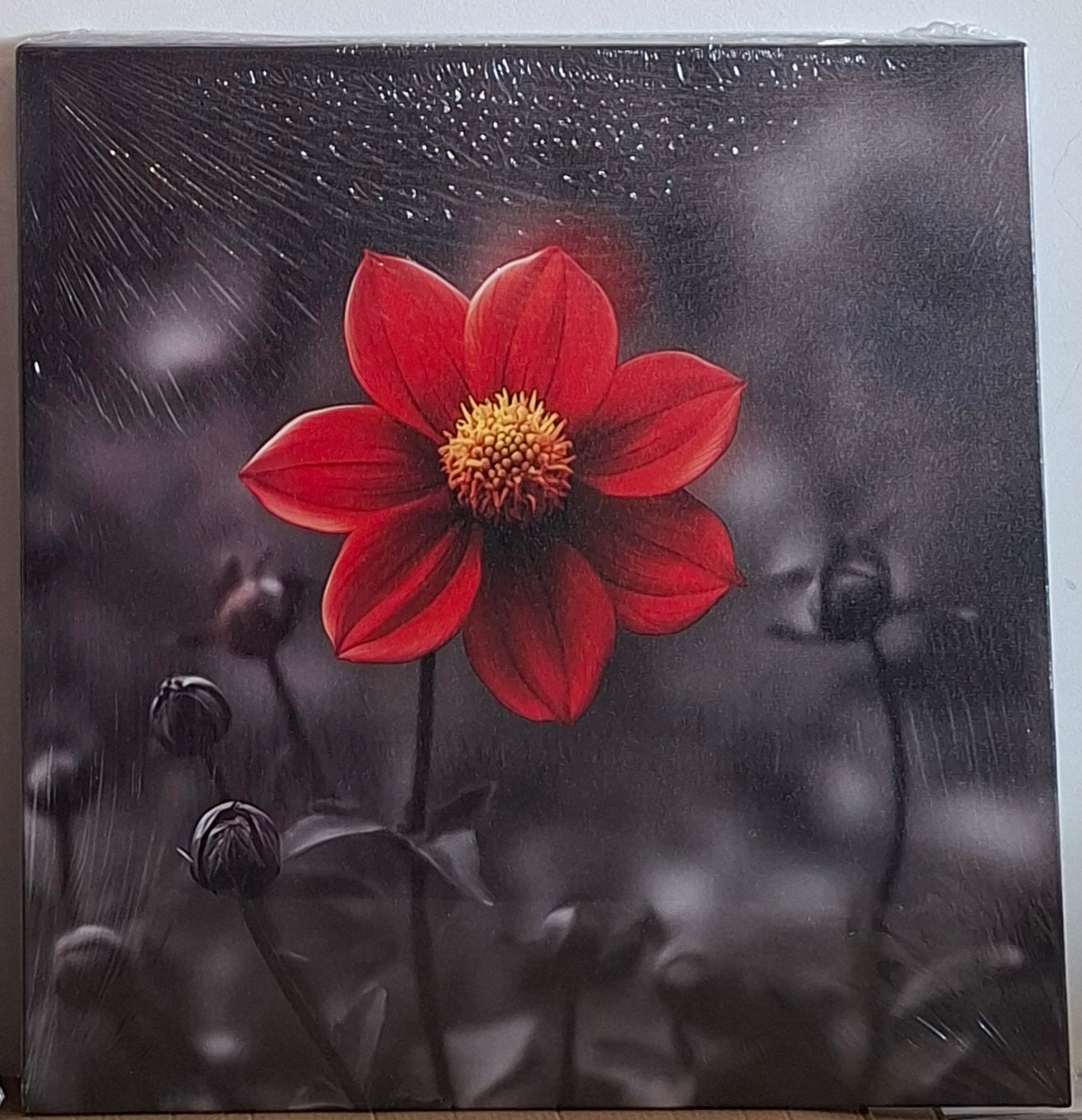 Vibrant Red Bloom Canvas Wall Art Set