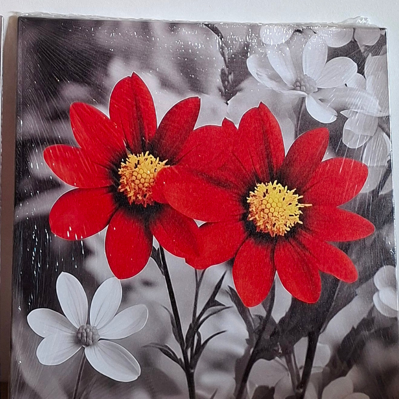 Vibrant Red Bloom Canvas Wall Art Set