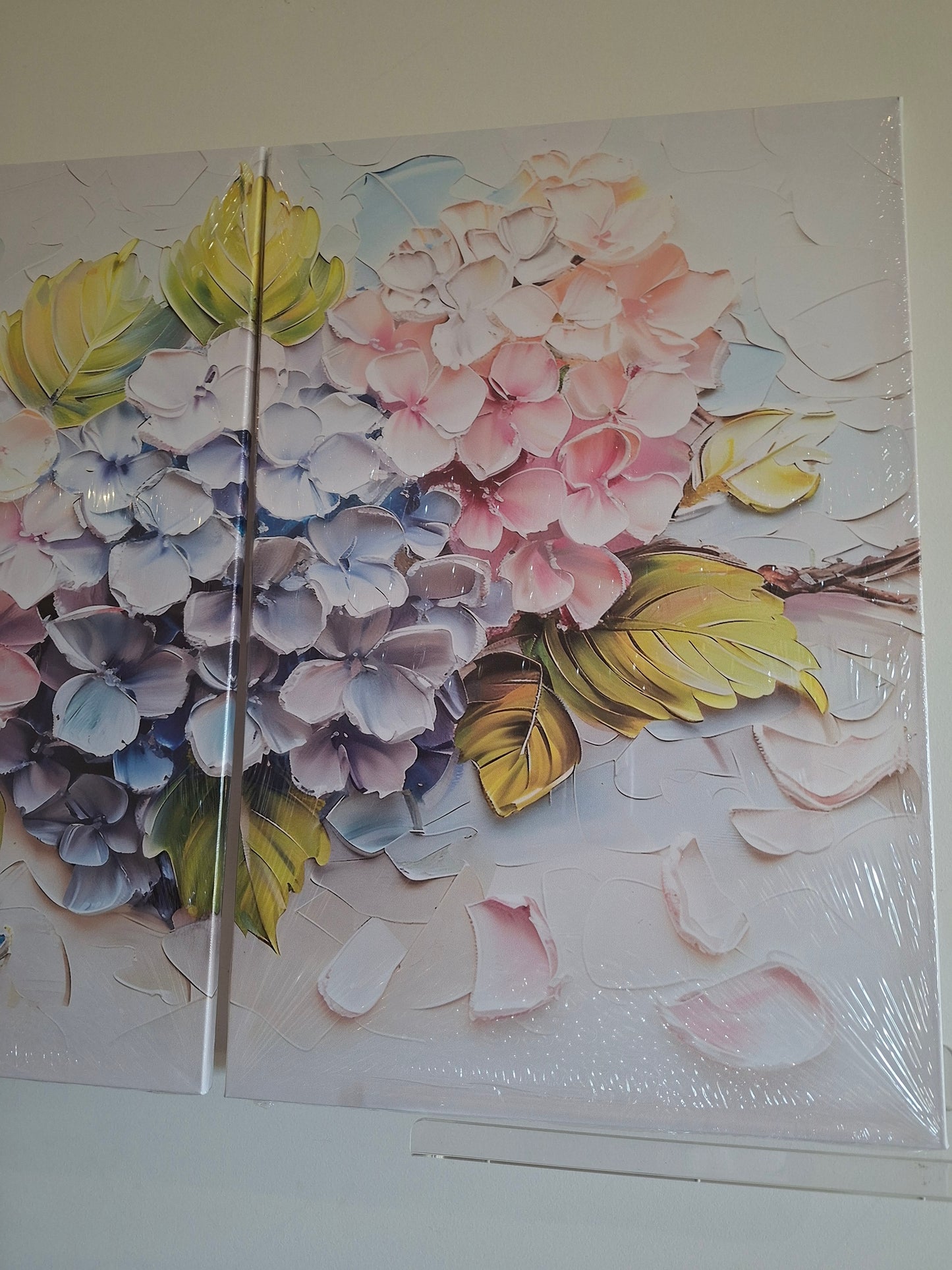 Colourful Hydrangea Floral Wall Art Set