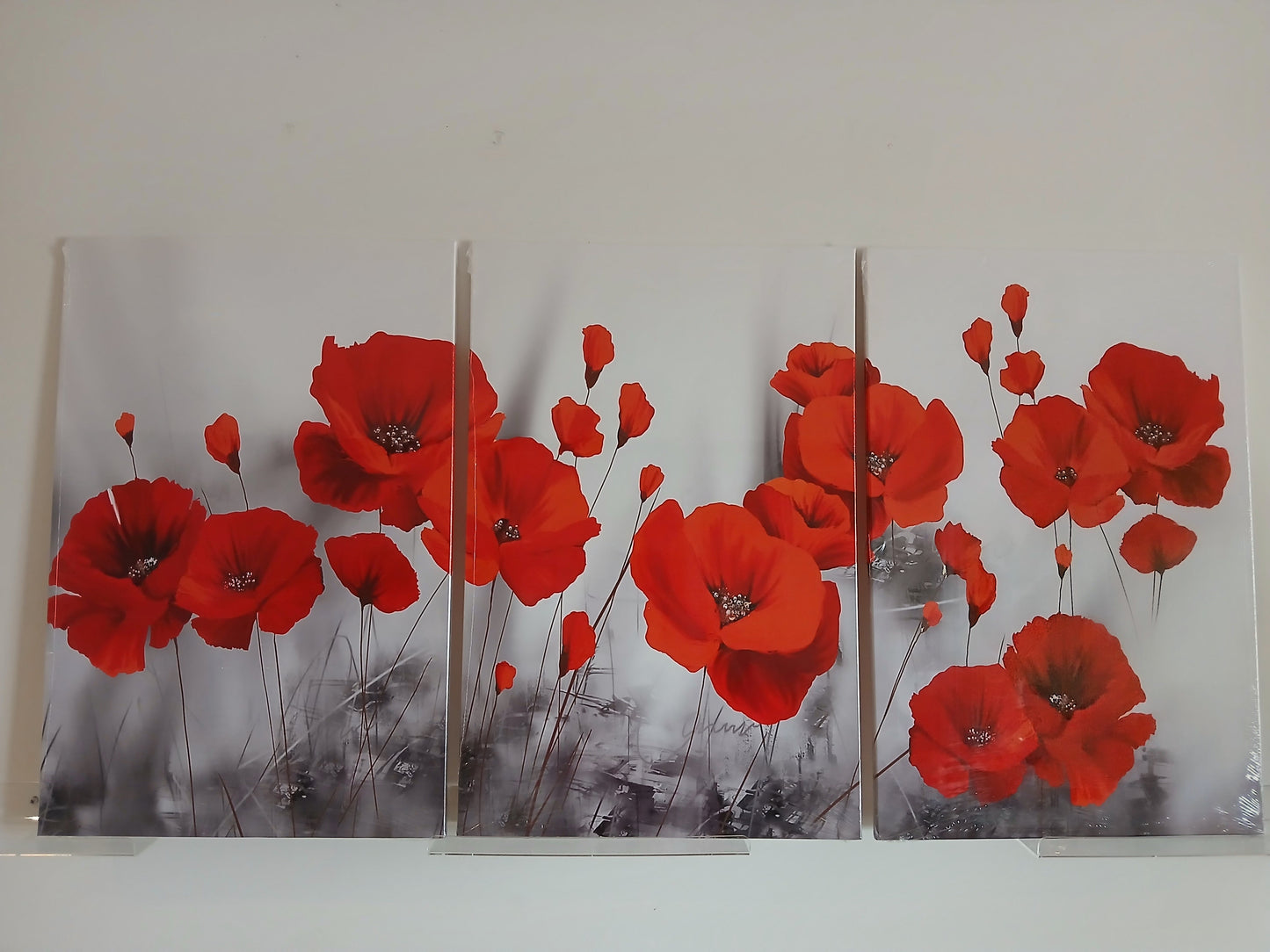 Red Poppy Flower Fantasy Canvas Print Wall Art
