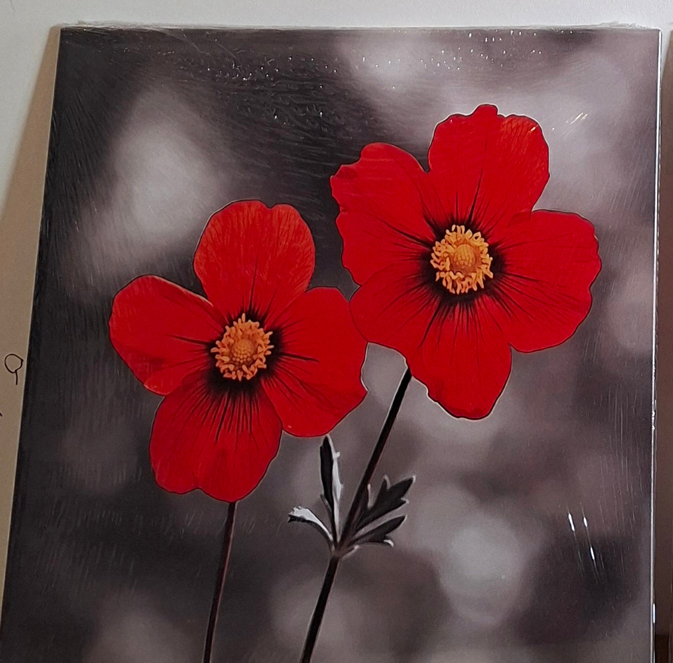 Vibrant Red Bloom Canvas Wall Art Set