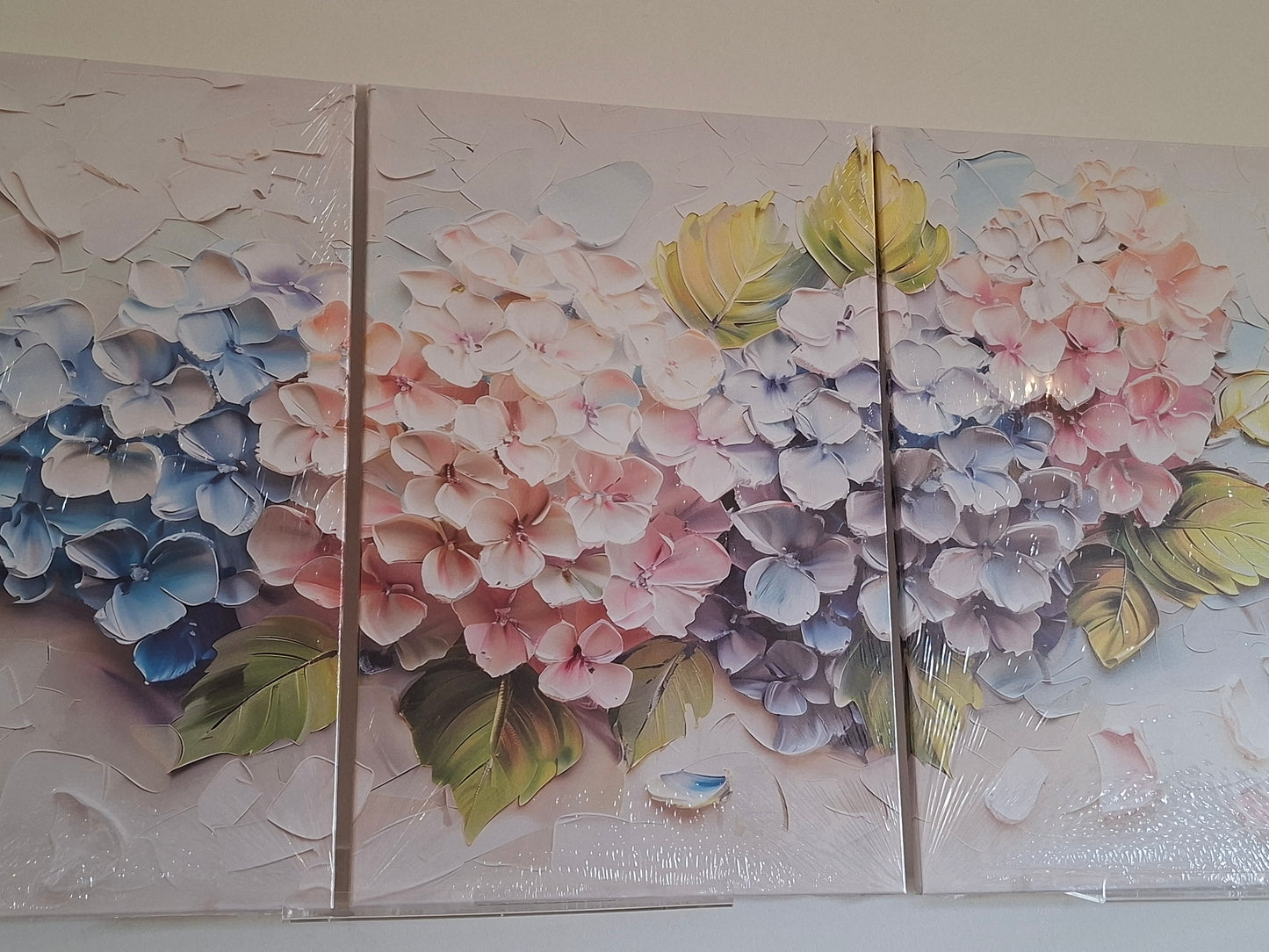 Colourful Hydrangea Floral Wall Art Set