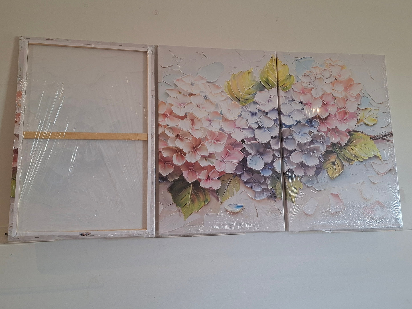 Colourful Hydrangea Floral Wall Art Set