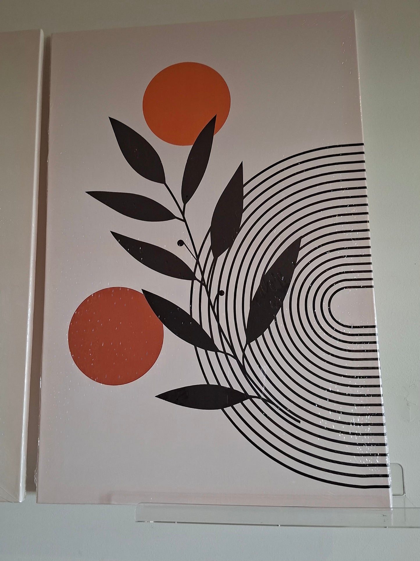 Botanical Wave Canvas Wall Art Set