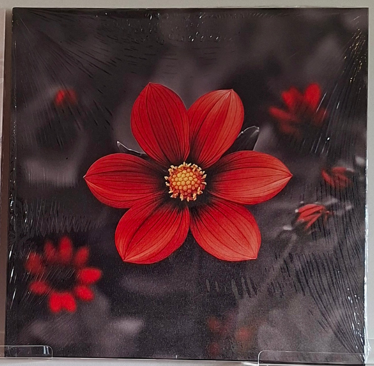 Vibrant Red Bloom Canvas Wall Art Set