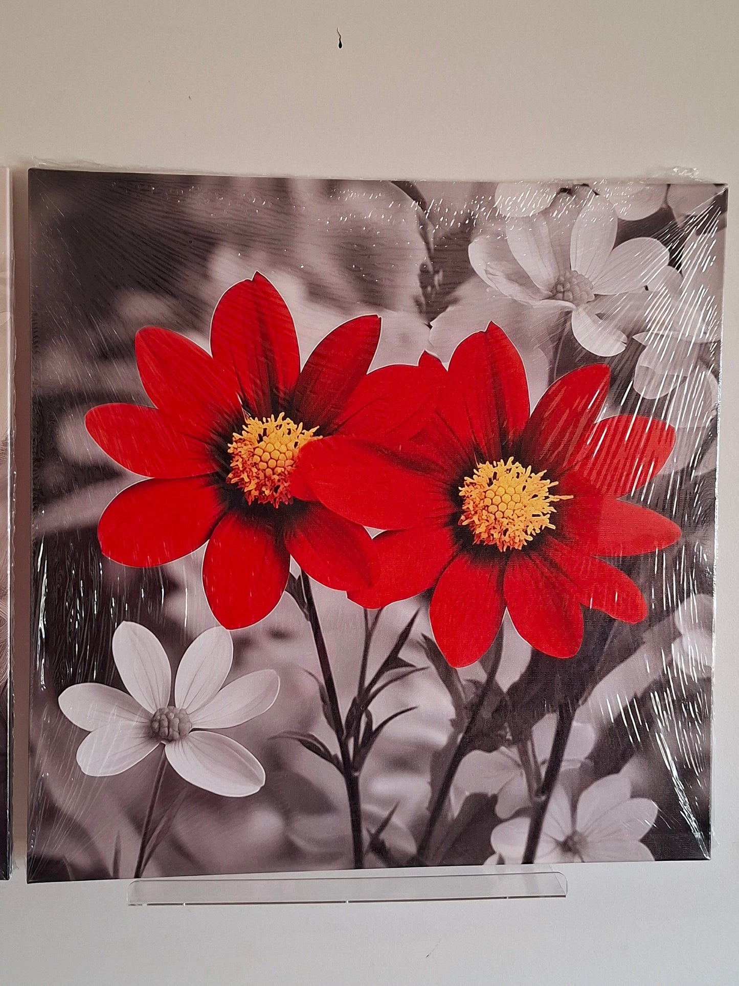 Vibrant Red Bloom Canvas Wall Art Set